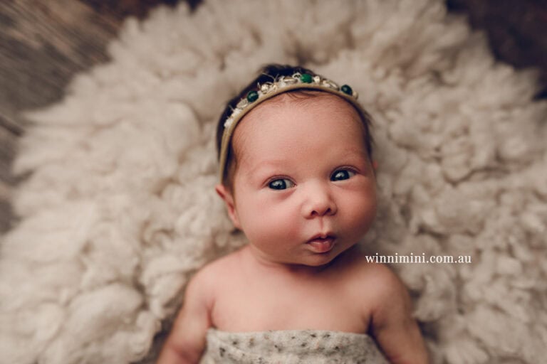 newborn baby family photographer tanha photography photograph photos photo babies gold coast brisbane the best family picture pictures tanha basile winni mini