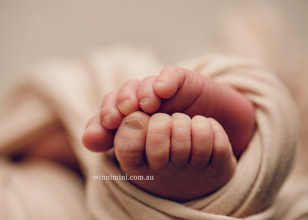 winni mini newborn baby babies older baby family birth maternity family families photography photographer photo photos tanha basile winni mini