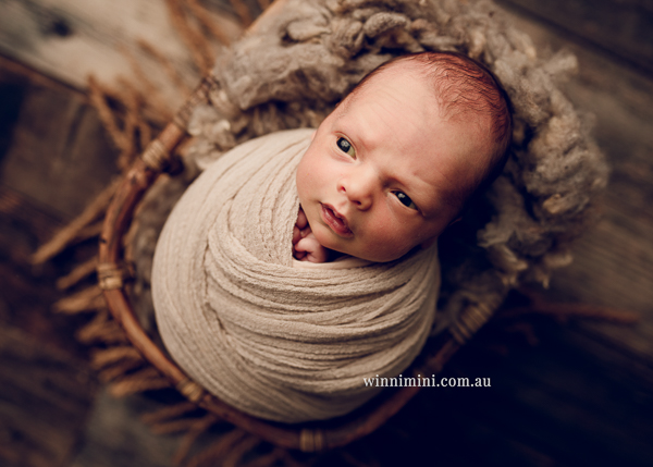 vwinni mini newborn baby babies older baby family birth maternity family families photography photographer photo photos tanha basile winni mini