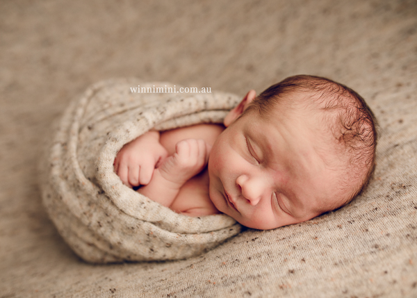 winni mini newborn baby babies older baby family birth maternity family families photography photographer photo photos tanha basile winni mini