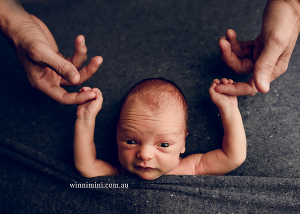 winni mini newborn baby babies older baby family birth maternity family families photography photographer photo photos tanha basile winni mini