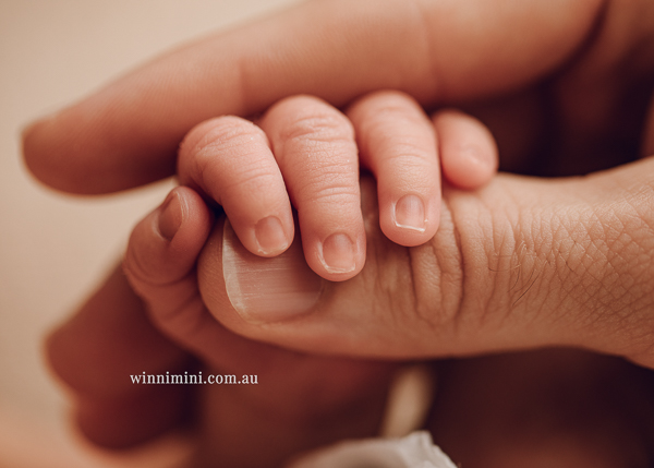 winni mini newborn baby babies older baby family birth maternity family families photography photographer photo photos tanha basile winni mini