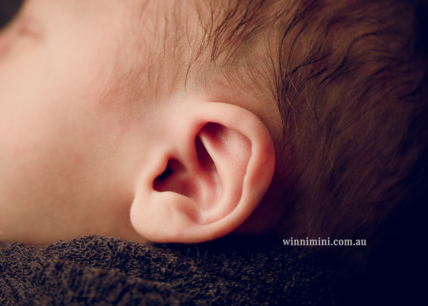 winni mini newborn baby babies older baby family birth maternity family families photography photographer photo photos tanha basile winni mini