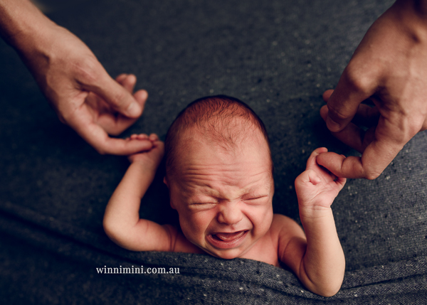 winni mini newborn baby babies older baby family birth maternity family families photography photographer photo photos tanha basile winni mini