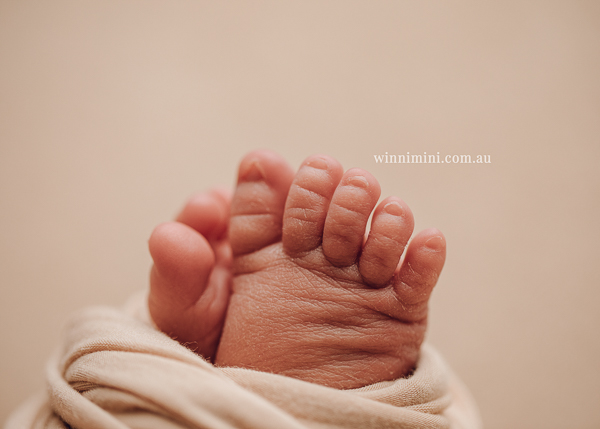 winni mini newborn baby babies older baby family birth maternity family families photography photographer photo photos tanha basile winni mini