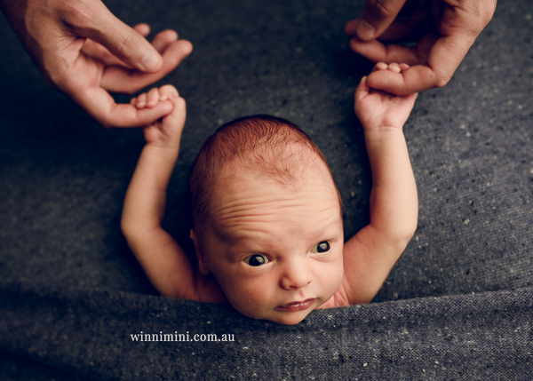 winni mini newborn baby babies older baby family birth maternity family families photography photographer photo photos tanha basile winni mini