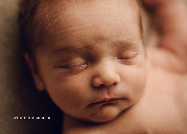 winni mini newborn baby babies older baby family birth maternity family families photography photographer photo photos tanha basile winni mini