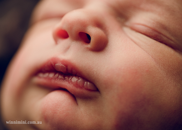 winni mini newborn baby babies older baby family birth maternity family families photography photographer photo photos tanha basile winni mini