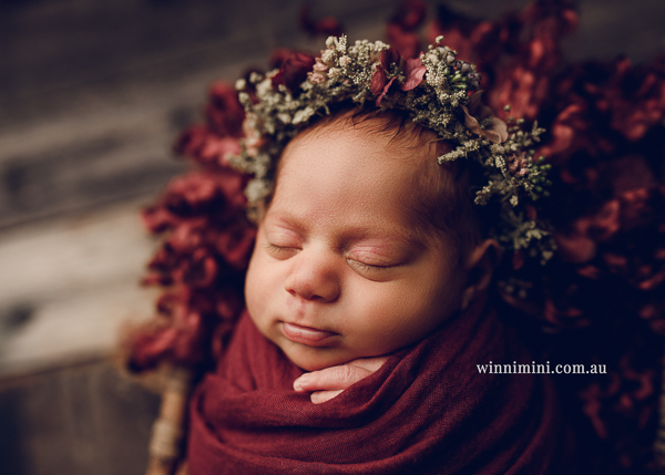 winni mini newborn baby babies older baby family birth maternity family families photography photographer photo photos tanha basile winni mini