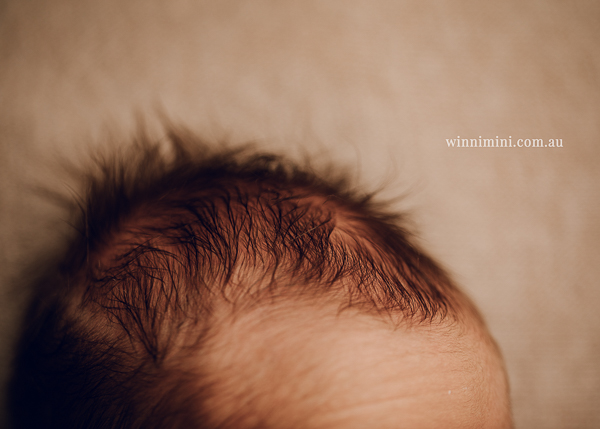 winni mini newborn baby babies older baby family birth maternity family families photography photographer photo photos tanha basile winni mini