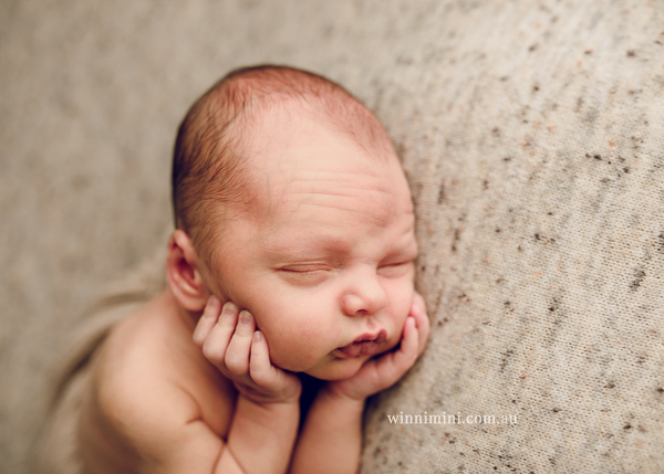 winni mini newborn baby babies older baby family birth maternity family families photography photographer photo photos tanha basile winni mini