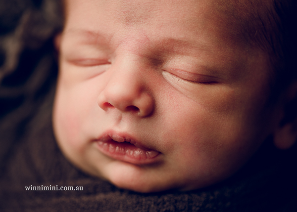 winni mini newborn baby babies older baby family birth maternity family families photography photographer photo photos tanha basile winni mini