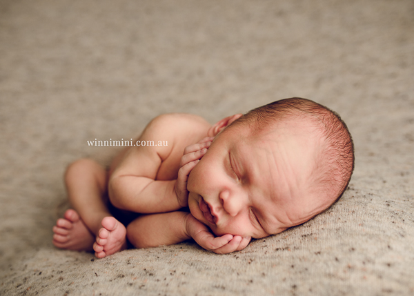 winni mini newborn baby babies older baby family birth maternity family families photography photographer photo photos tanha basile winni mini