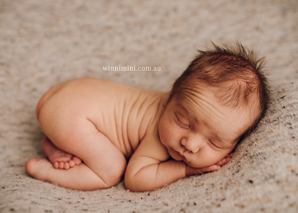 winni mini newborn baby babies older baby family birth maternity family families photography photographer photo photos tanha basile winni mini