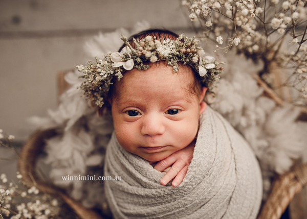 winni mini newborn baby babies older baby family birth maternity family families photography photographer photo photos tanha basile winni mini