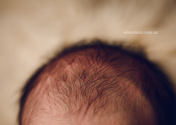 newborn baby babies older baby family birth maternity family families photography photographer photo photos tanha basile winni mini
