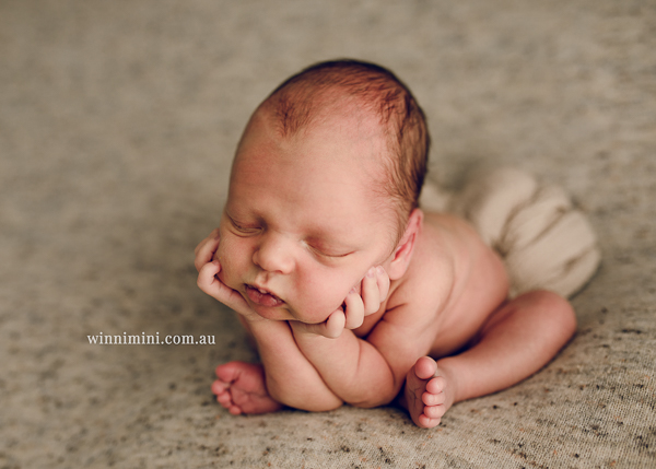 winni mini newborn baby babies older baby family birth maternity family families photography photographer photo photos tanha basile winni mini
