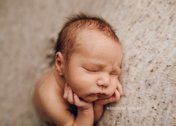 winni mini newborn baby babies older baby family birth maternity family families photography photographer photo photos tanha basile winni mini