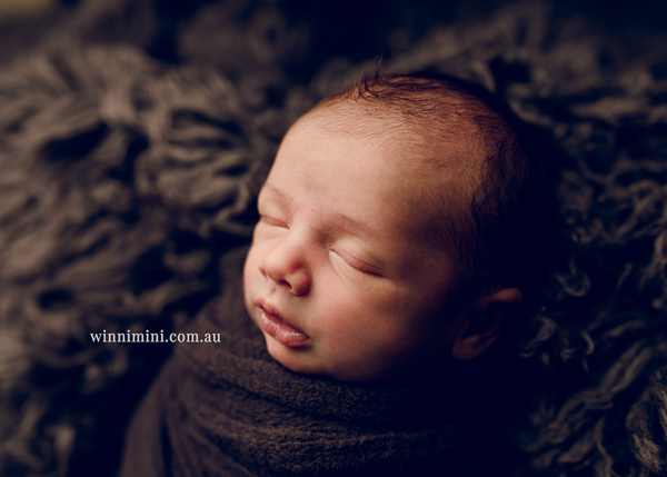 winni mini newborn baby babies older baby family birth maternity family families photography photographer photo photos tanha basile winni mini