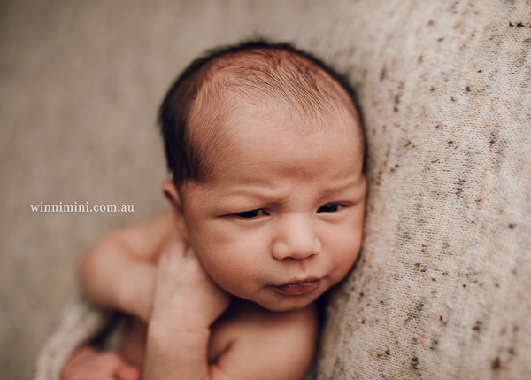 newborn baby babies older baby family birth maternity family families photography photographer photo photos tanha basile winni mini