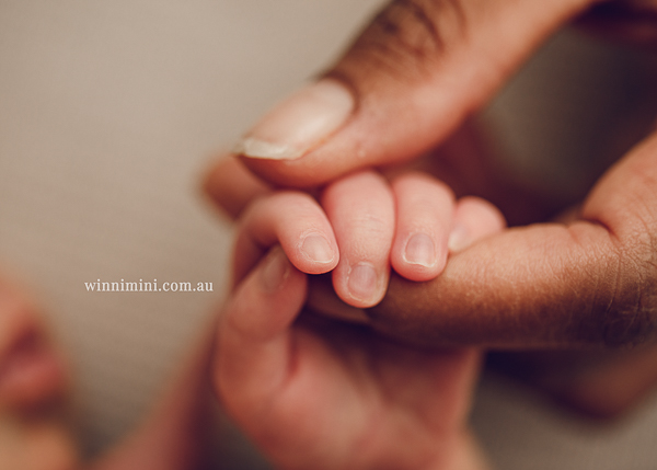 winni mini newborn baby babies older baby family birth maternity family families photography photographer photo photos tanha basile winni mini