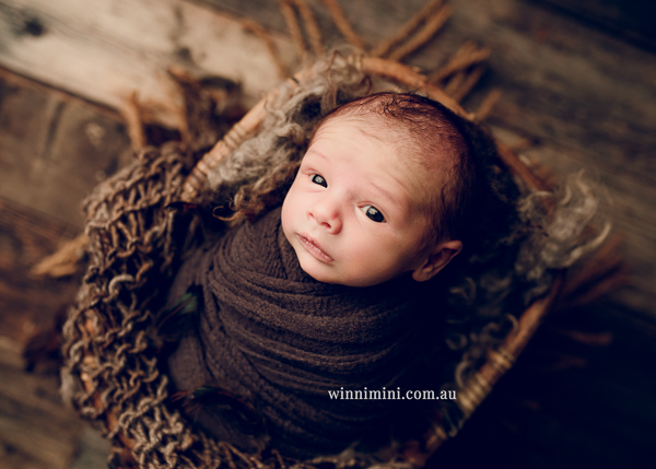 winni mini newborn baby babies older baby family birth maternity family families photography photographer photo photos tanha basile winni mini