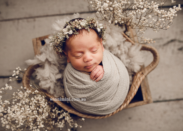 winni mini newborn baby babies older baby family birth maternity family families photography photographer photo photos tanha basile winni mini
