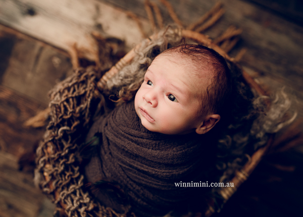winni mini newborn baby babies older baby family birth maternity family families photography photographer photo photos tanha basile winni mini