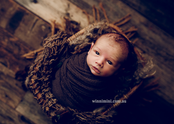 winni mini newborn baby babies older baby family birth maternity family families photography photographer photo photos tanha basile winni mini
