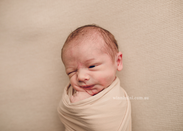 winni mini newborn baby babies older baby family birth maternity family families photography photographer photo photos tanha basile winni mini