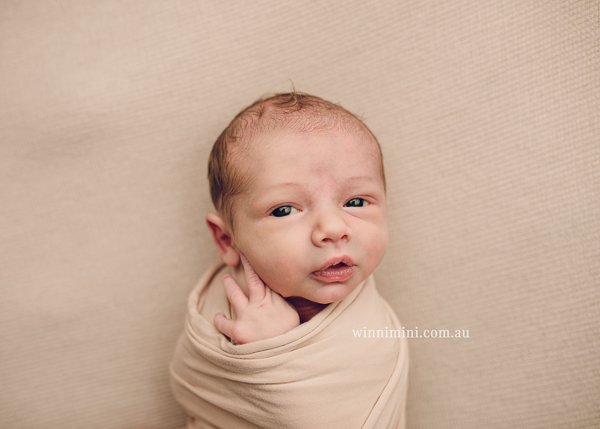 winni mini newborn baby babies older baby family birth maternity family families photography photographer photo photos tanha basile winni mini