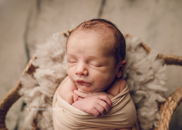winni mini newborn baby babies older baby family birth maternity family families photography photographer photo photos tanha basile winni mini