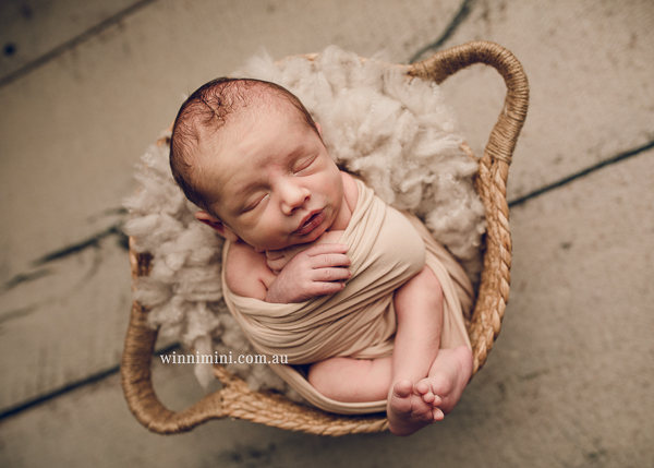 winni mini newborn baby babies older baby family birth maternity family families photography photographer photo photos tanha basile winni mini