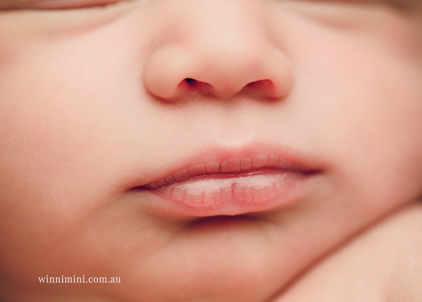 newborn baby babies older baby family birth maternity family families photography photographer photo photos tanha basile winni mini