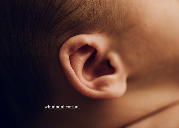 winni mini newborn baby babies older baby family birth maternity family families photography photographer photo photos tanha basile winni mini