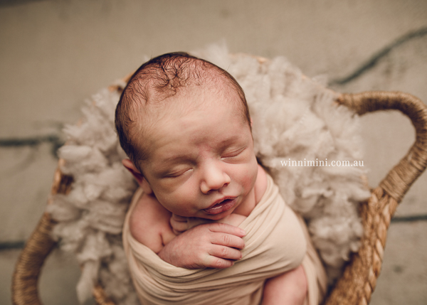 winni mini newborn baby babies older baby family birth maternity family families photography photographer photo photos tanha basile winni mini