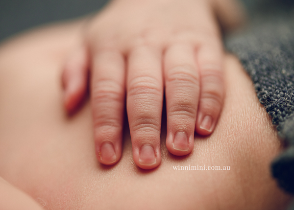 newborn baby babies older baby family birth maternity family families photography photographer photo photos tanha basile winni mini