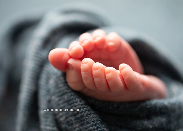 newborn baby babies older baby family birth maternity family families photography photographer photo photos tanha basile winni mini