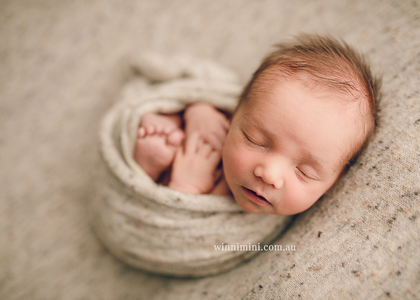 winni mini newborn baby babies older baby family birth maternity family families photography photographer photo photos tanha basile winni mini