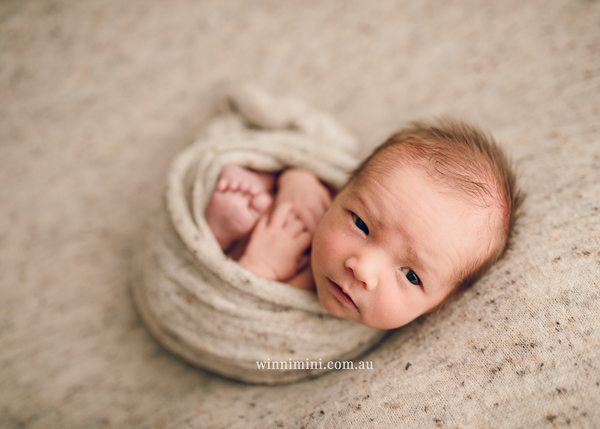 winni mini newborn baby babies older baby family birth maternity family families photography photographer photo photos tanha basile winni mini
