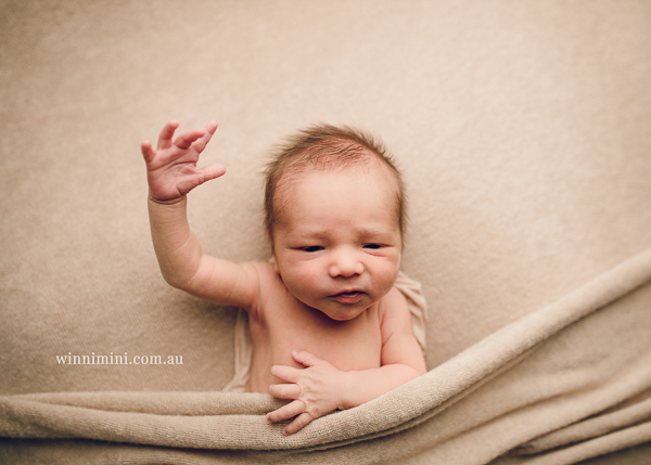 winni mini newborn baby babies older baby family birth maternity family families photography photographer photo photos tanha basile winni mini