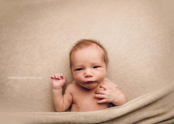 winni mini newborn baby babies older baby family birth maternity family families photography photographer photo photos tanha basile winni mini