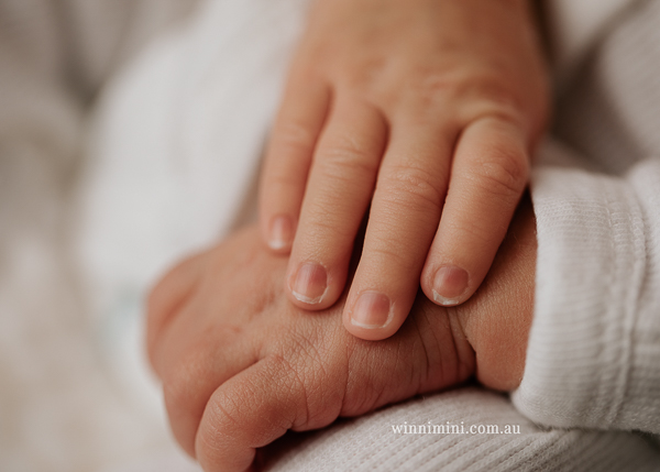 winni mini newborn baby babies older baby family birth maternity family families photography photographer photo photos tanha basile winni mini