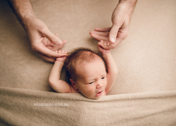 winni mini newborn baby babies older baby family birth maternity family families photography photographer photo photos tanha basile winni mini