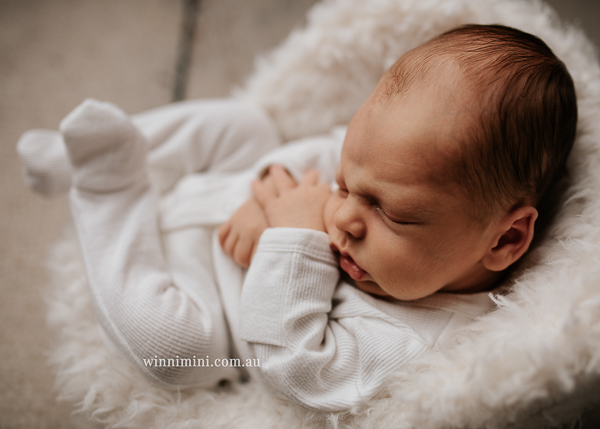 winni mini newborn baby babies older baby family birth maternity family families photography photographer photo photos tanha basile winni mini