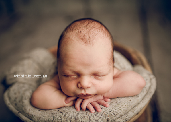 winni mini newborn baby babies older baby family birth maternity family families photography photographer photo photos tanha basile winni mini-29