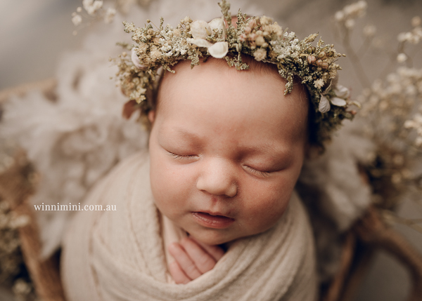 winni mini newborn baby babies older baby family birth maternity family families photography photographer photo photos tanha basile winni mini