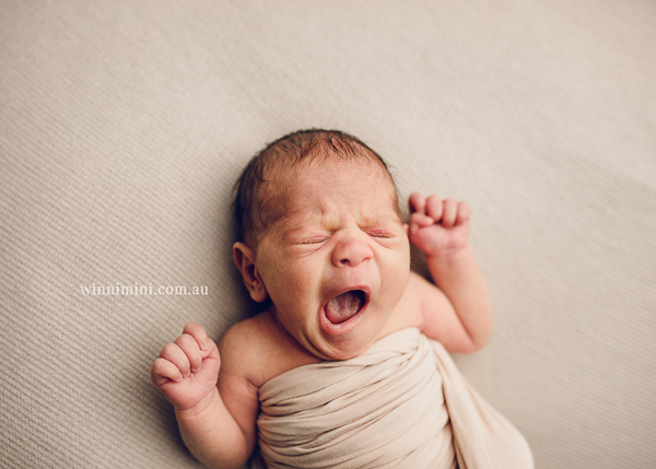 winni mini newborn baby babies older baby family birth maternity family families photography photographer photo photos tanha basile winni mini