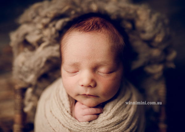 winni mini newborn baby babies older baby family birth maternity family families photography photographer photo photos tanha basile winni mini
