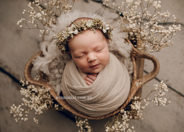 winni mini newborn baby babies older baby family birth maternity family families photography photographer photo photos tanha basile winni mini